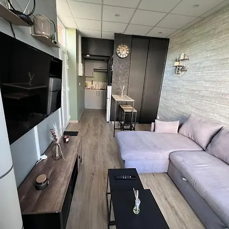 Charmant Studio Meuble Dans Le Centre De