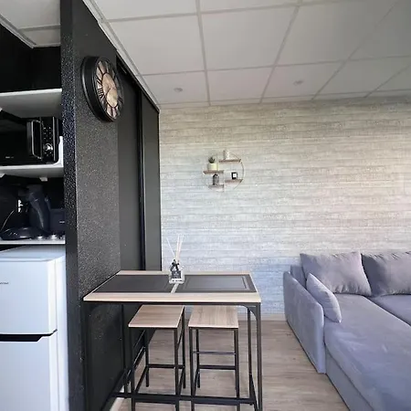 Charmant Studio Meuble Dans Le Centre De